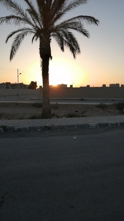 مشاركاتي في أنت الراصد