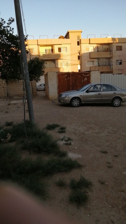 مشاركاتي في أنت الراصد