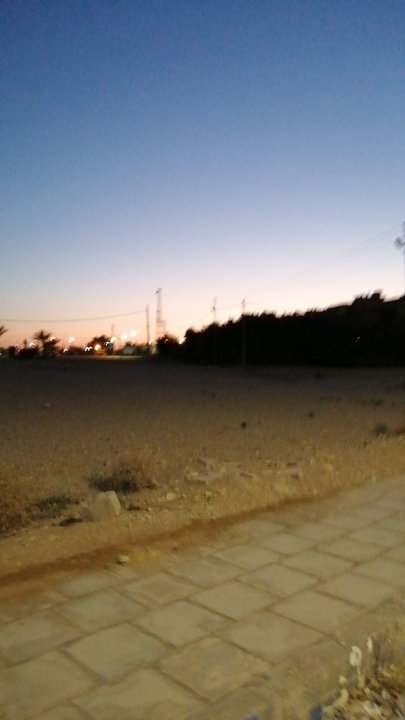 مشاركاتي في أنت الراصد