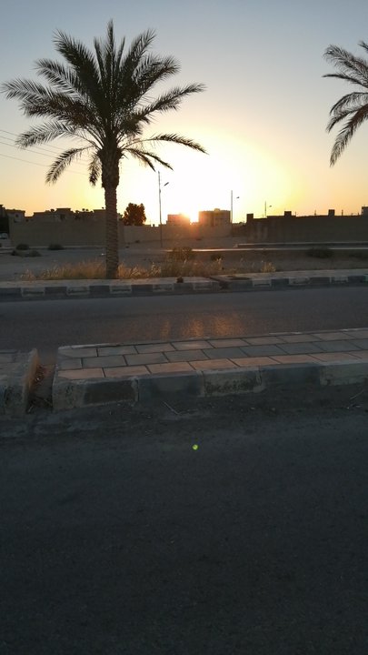 مشاركاتي في أنت الراصد