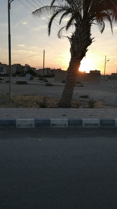 مشاركاتي في أنت الراصد