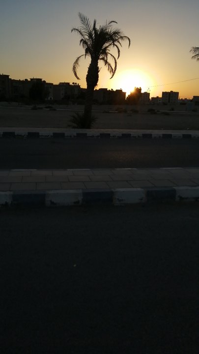 مشاركاتي في أنت الراصد