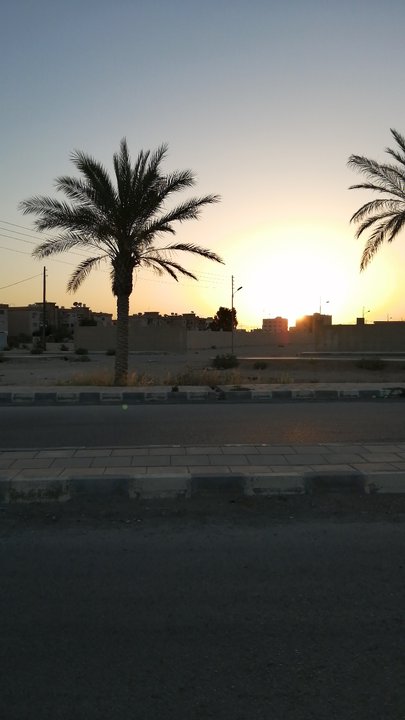 مشاركاتي في أنت الراصد