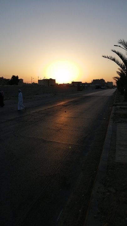 مشاركاتي في أنت الراصد