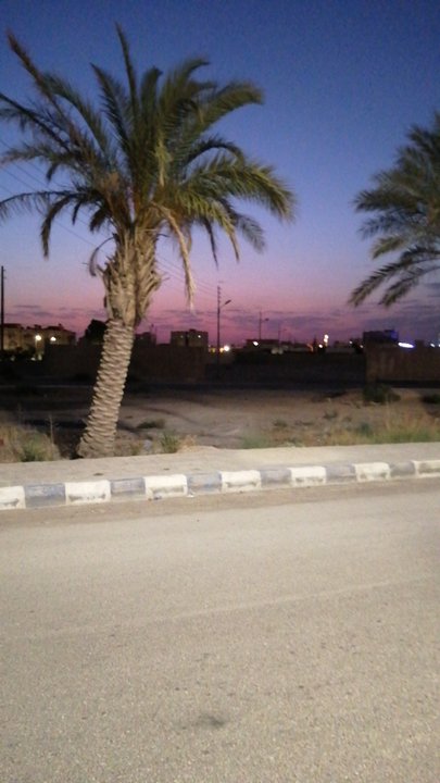 مشاركاتي في أنت الراصد