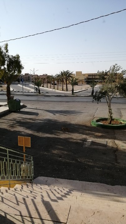 مشاركاتي في أنت الراصد