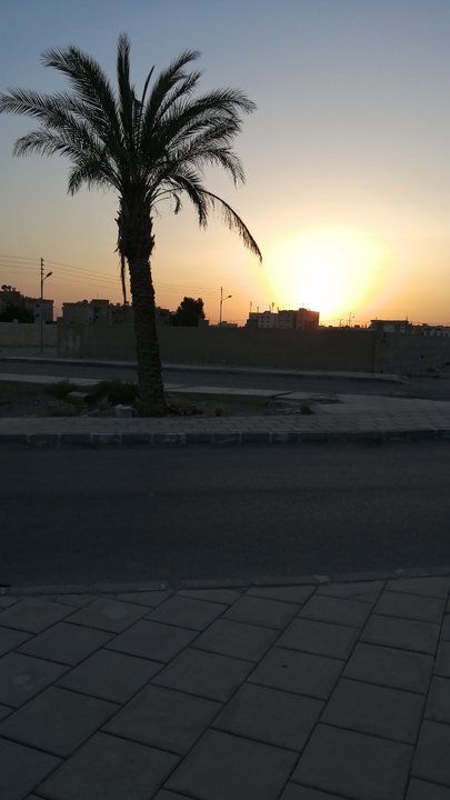 مشاركاتي في أنت الراصد