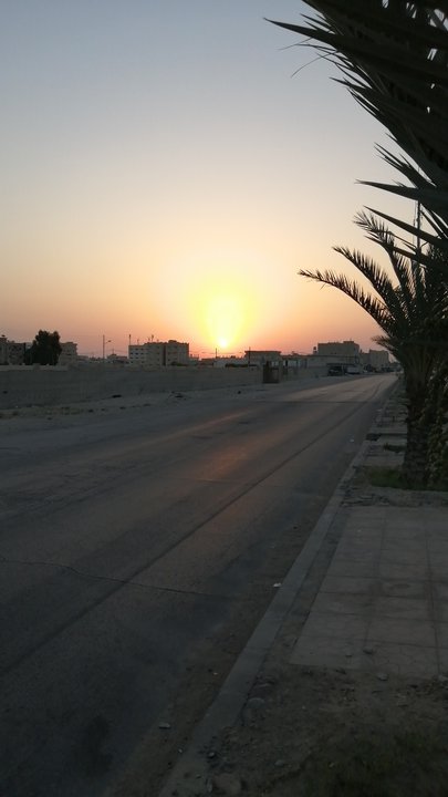 مشاركاتي في أنت الراصد