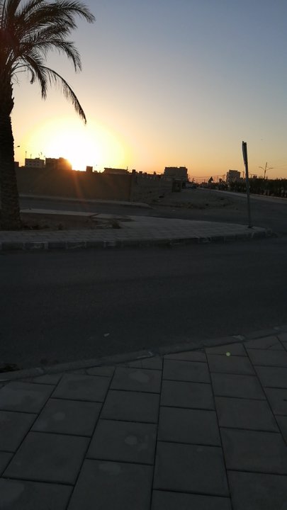 مشاركاتي في أنت الراصد