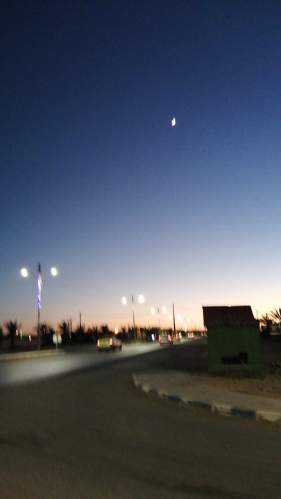 مشاركاتي في أنت الراصد