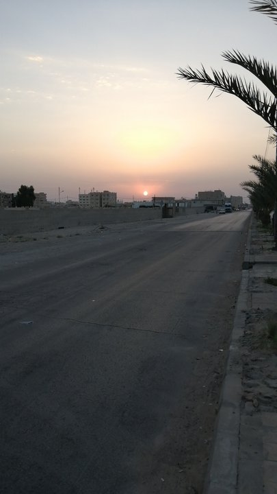 مشاركاتي في أنت الراصد