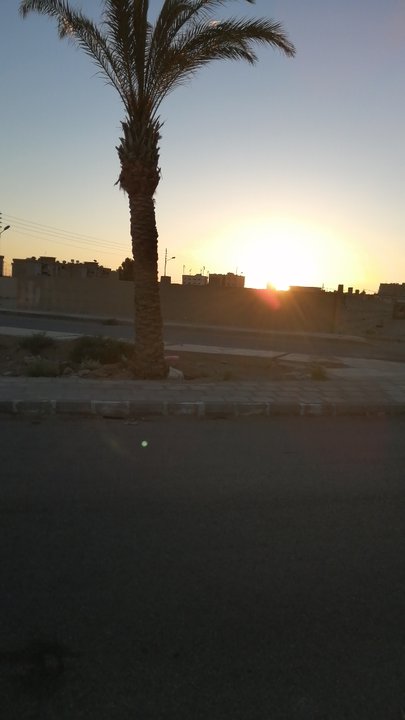 مشاركاتي في أنت الراصد