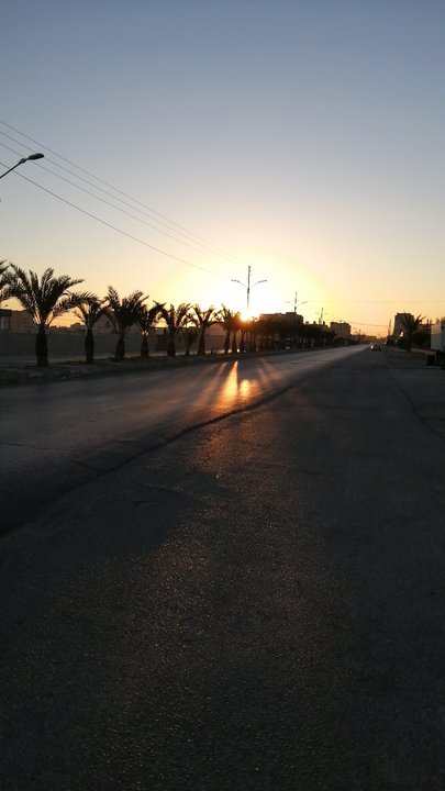 مشاركاتي في أنت الراصد