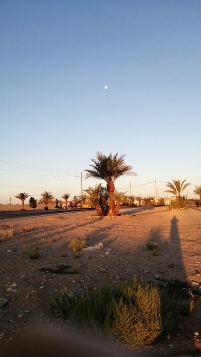 مشاركاتي في أنت الراصد