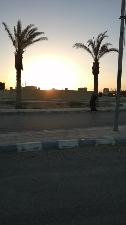 مشاركاتي في أنت الراصد