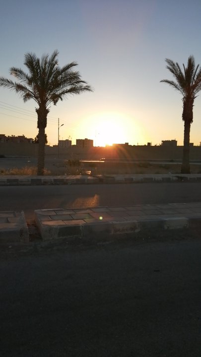 مشاركاتي في أنت الراصد