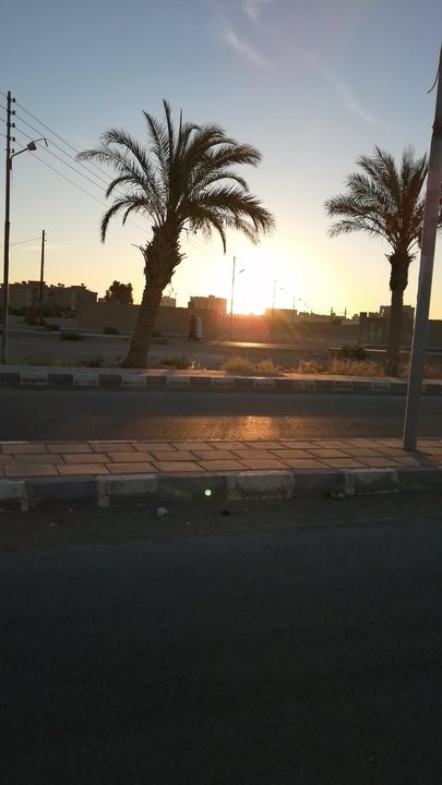 مشاركاتي في أنت الراصد