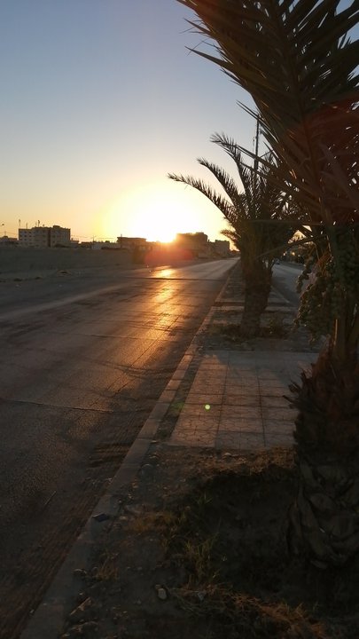 مشاركاتي في أنت الراصد