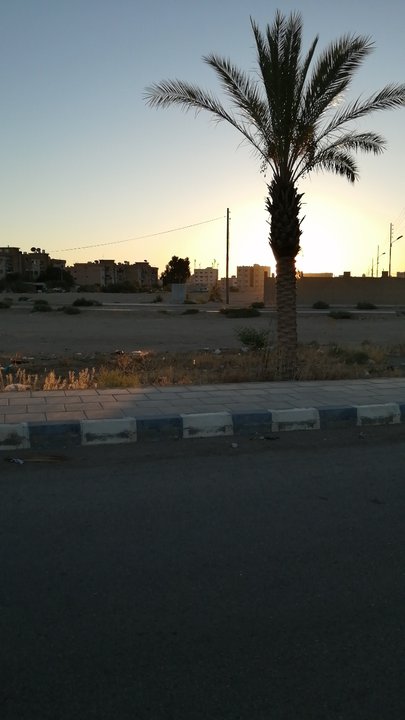 مشاركاتي في أنت الراصد