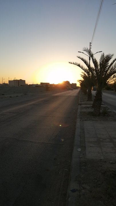 مشاركاتي في أنت الراصد