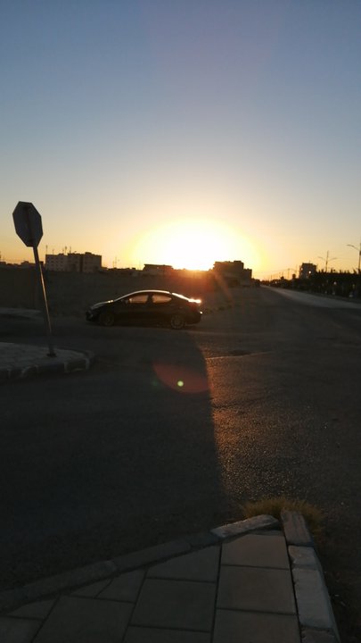 مشاركاتي في أنت الراصد