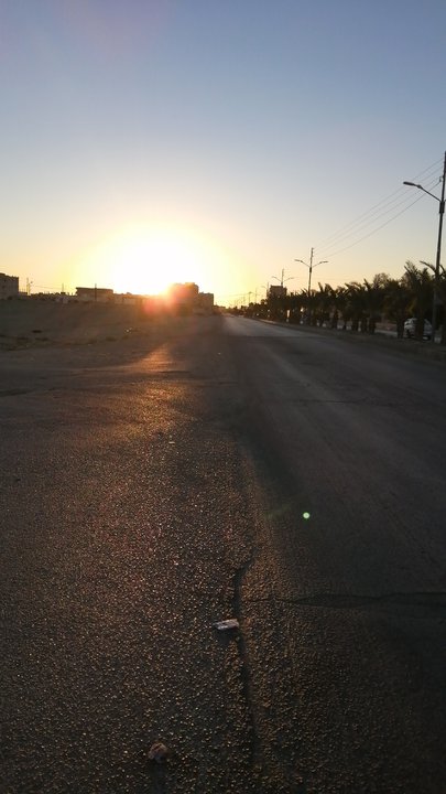 مشاركاتي في أنت الراصد