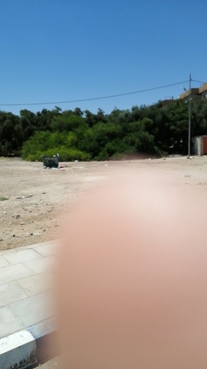 مشاركاتي في أنت الراصد