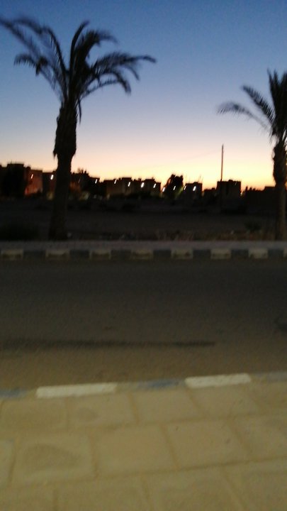 مشاركاتي في أنت الراصد