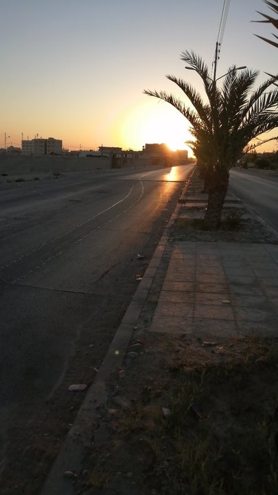 مشاركاتي في أنت الراصد