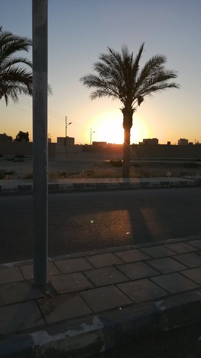 مشاركاتي في أنت الراصد