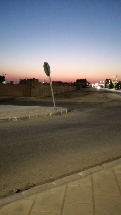 مشاركاتي في أنت الراصد