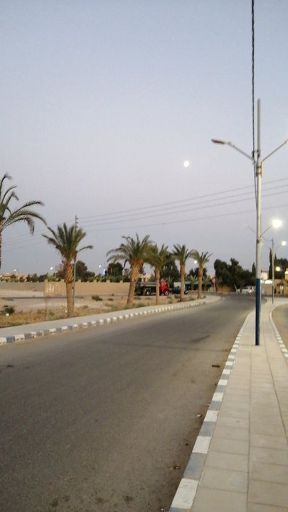 مشاركاتي في أنت الراصد