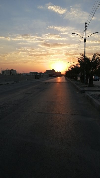 مشاركاتي في أنت الراصد