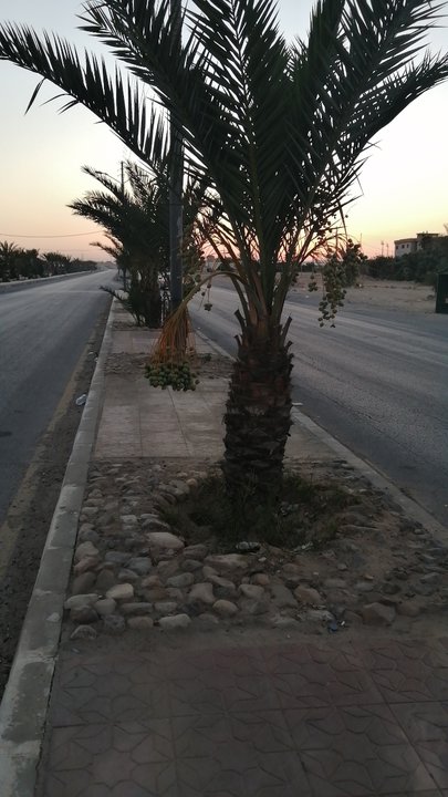 مشاركاتي في أنت الراصد