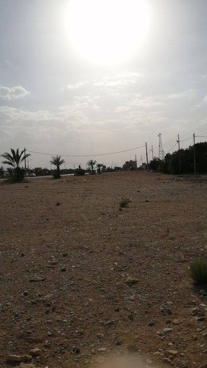 مشاركاتي في أنت الراصد