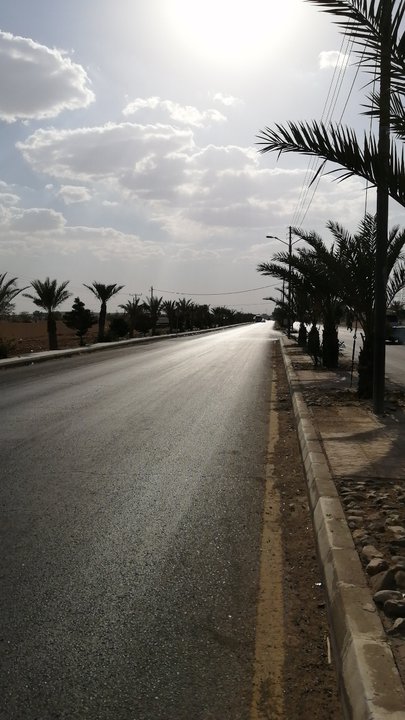 مشاركاتي في أنت الراصد