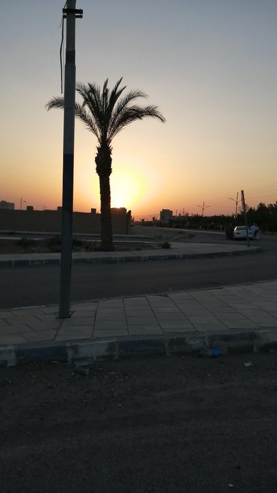 مشاركاتي في أنت الراصد