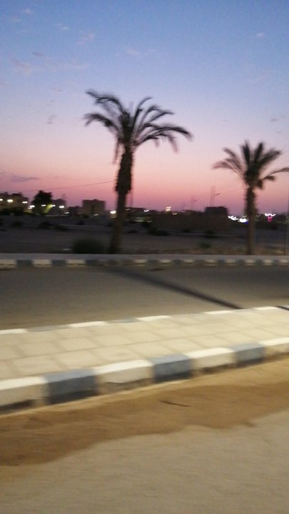 مشاركاتي في أنت الراصد