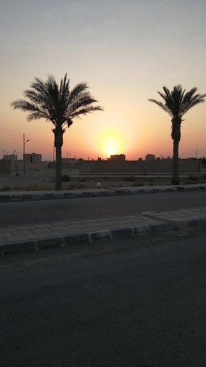 مشاركاتي في أنت الراصد