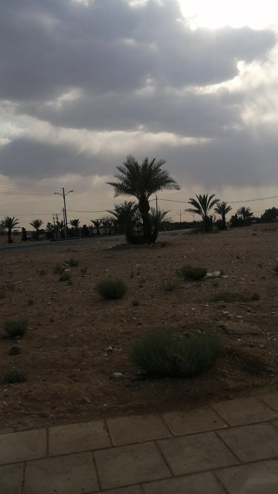 مشاركاتي في أنت الراصد