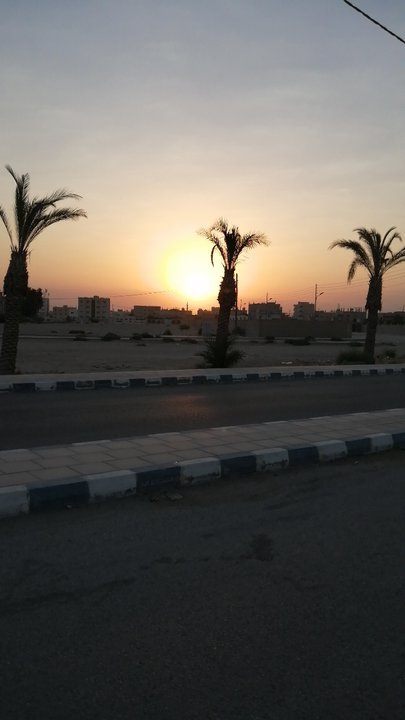 مشاركاتي في أنت الراصد