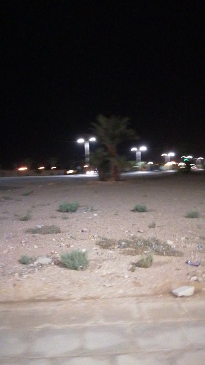 مشاركاتي في أنت الراصد