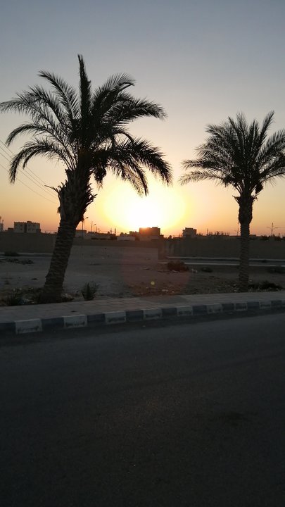 مشاركاتي في أنت الراصد