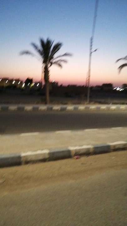 مشاركاتي في أنت الراصد