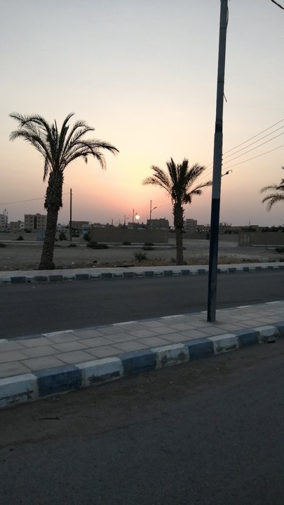 مشاركاتي في أنت الراصد