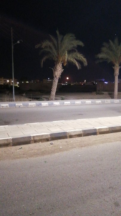 مشاركاتي في أنت الراصد