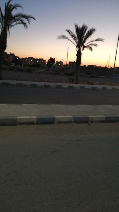 مشاركاتي في أنت الراصد