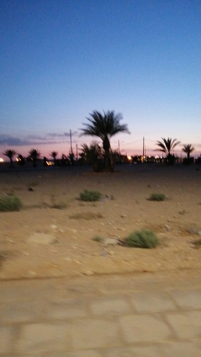 مشاركاتي في أنت الراصد