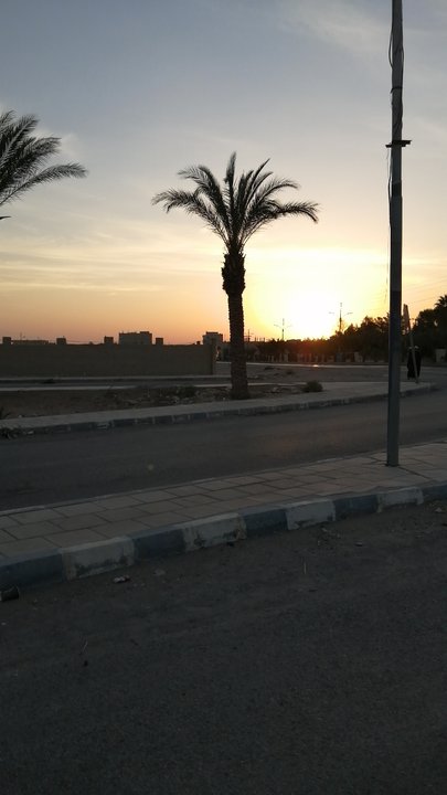 مشاركاتي في أنت الراصد