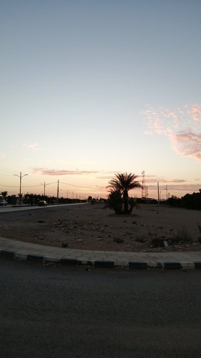 مشاركاتي في أنت الراصد